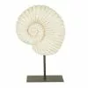 Dunelm Fossil Shell On Stand Sculpture -Cheap clocks Store 30692935