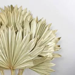 Dunelm Dried Gold Sun Spear Bundle 8 Dunelm Dried Gold Sun Spear Bundle -Cheap clocks Store 30730255 alt01