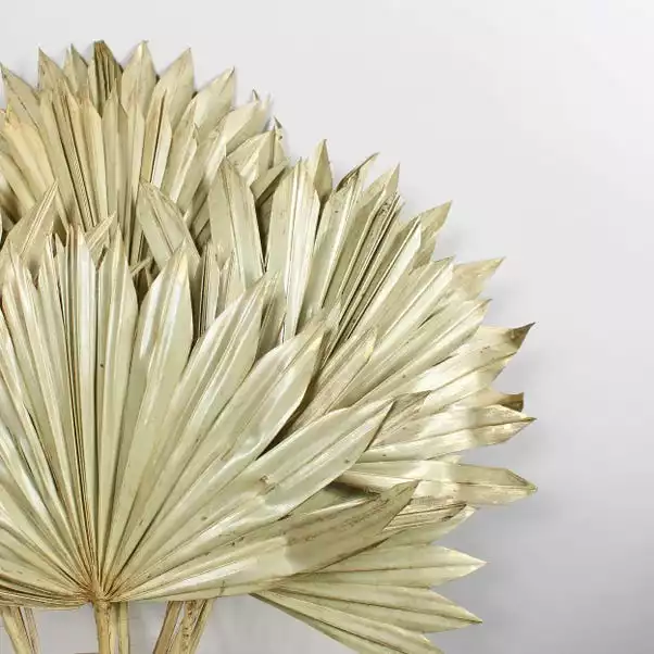 Dunelm Dried Gold Sun Spear Bundle 4 Dunelm Dried Gold Sun Spear Bundle - Image 2