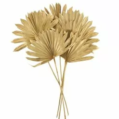 Dunelm Dried Gold Sun Spear Bundle 9 Dunelm Dried Gold Sun Spear Bundle -Cheap clocks Store 30730255 alt02