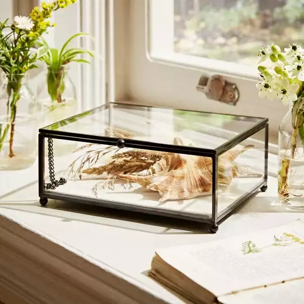 Natural History Museum Small Trinket Box 18cm 3 Natural History Museum Small Trinket Box 18cm