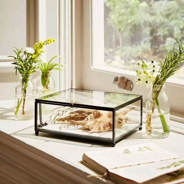 Natural History Museum Small Trinket Box 18cm 4 Natural History Museum Small Trinket Box 18cm - Image 2