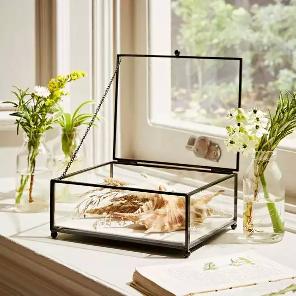 Natural History Museum Small Trinket Box 18cm 5 Natural History Museum Small Trinket Box 18cm - Image 3