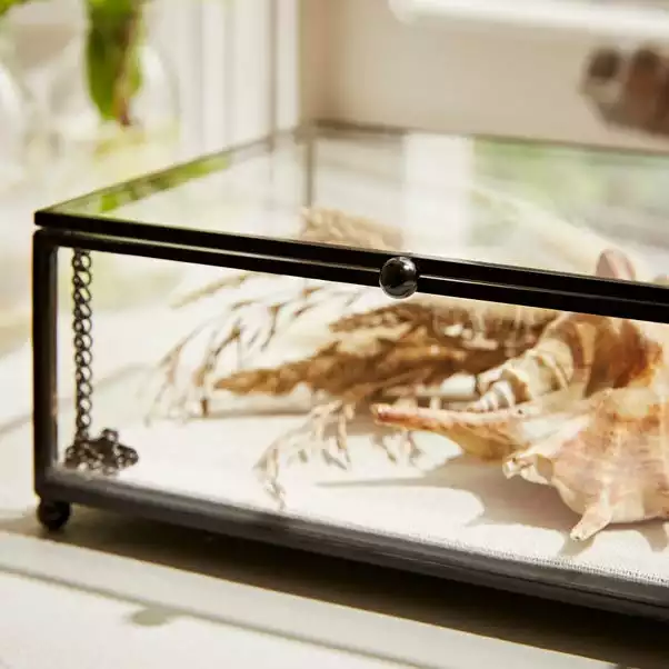 Natural History Museum Small Trinket Box 18cm 6 Natural History Museum Small Trinket Box 18cm - Image 4