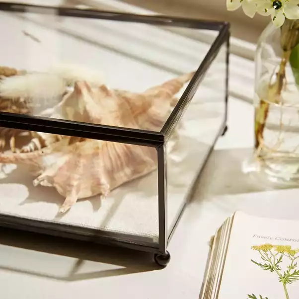 Natural History Museum Small Trinket Box 18cm 7 Natural History Museum Small Trinket Box 18cm - Image 5