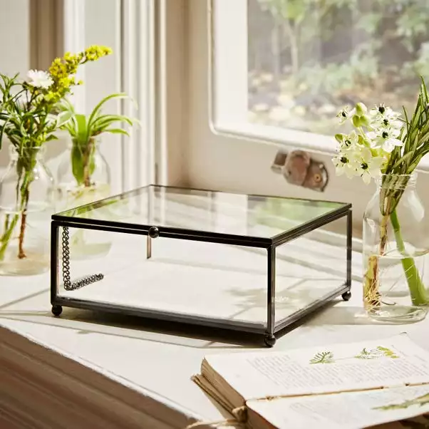 Natural History Museum Small Trinket Box 18cm 8 Natural History Museum Small Trinket Box 18cm - Image 6