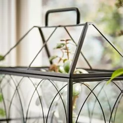 Natural History Museum Terrarium 37cm -Cheap clocks Store 30752233 alt04