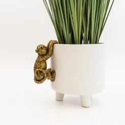 Dunelm Plant Pot Climber Monkey 6 Dunelm Plant Pot Climber Monkey -Cheap clocks Store 30753306 alt01