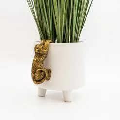 Dunelm Plant Pot Climber Monkey 7 Dunelm Plant Pot Climber Monkey -Cheap clocks Store 30753306 alt02