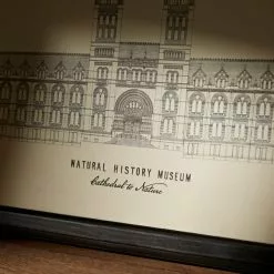 Natural History Museum Cathedral To Nature Framed Canvas -Cheap clocks Store 30753729 alt03
