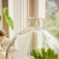 Natural History Museum Mango Wood Cloche -Cheap clocks Store 30756334 alt02