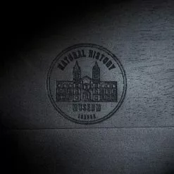 Dunelm Black Mango Wood Cloche -Cheap clocks Store 30779657 alt05