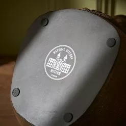 Natural History Museum Lion Glasses Holder -Cheap clocks Store 30782232 alt05