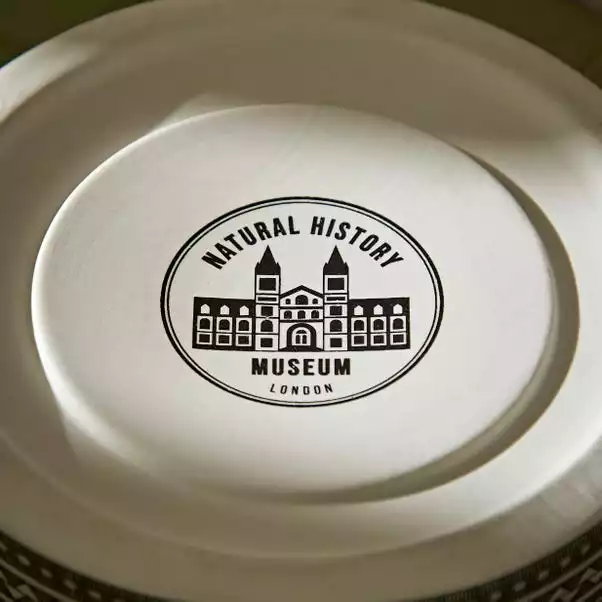 Natural History Museum Cathedral To Nature 33.5cm Lantern 7 Natural History Museum Cathedral To Nature 33.5cm Lantern - Image 5