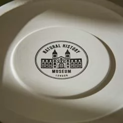 Natural History Museum Cathedral To Nature Large Lantern -Cheap clocks Store 30782302 alt04