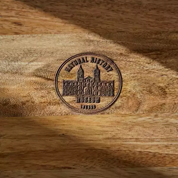 Dunelm Compartment Tray 6 Dunelm Compartment Tray - Image 4