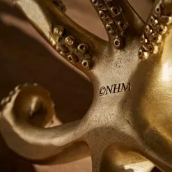 Natural History Museum Octopus Glasses Holder -Cheap clocks Store 30800584 alt03