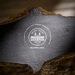 Natural History Museum Resin Shell Vase -Cheap clocks Store 30800585 alt04