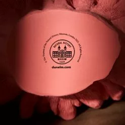 Natural History Museum Weighted Coral Reef Ornament 10 Natural History Museum Weighted Coral Reef Ornament -Cheap clocks Store 30800589 alt03