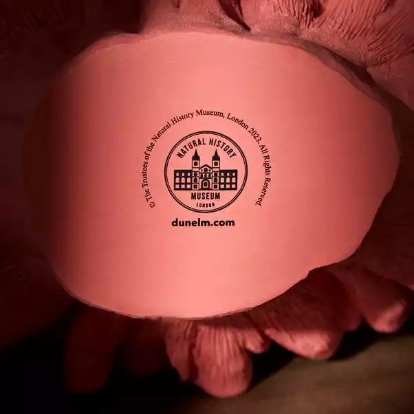 Natural History Museum Weighted Coral Reef Ornament 6 Natural History Museum Weighted Coral Reef Ornament - Image 4