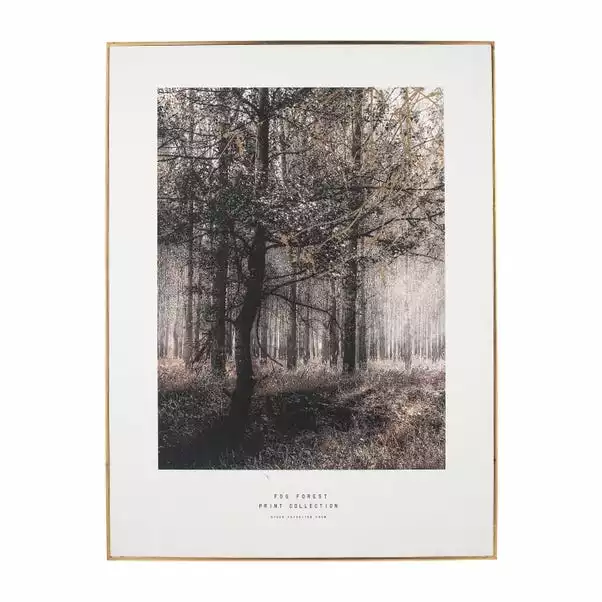 Pacific Lifestyle Mono Forest Trail Canvas Print 4 Pacific Lifestyle Mono Forest Trail Canvas Print - Image 2