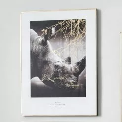 Pacific Lifestyle Mono Rhino Canvas Print