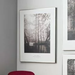 Pacific Lifestyle Mono Waterside Tree Canvas Print