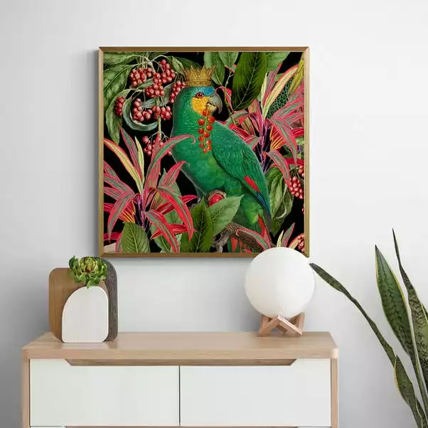Dunelm Parrot King II Framed Print 3 Dunelm Parrot King II Framed Print