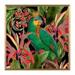 Dunelm Parrot King II Framed Print 6 Dunelm Parrot King II Framed Print -Cheap clocks Store 30808372 alt01