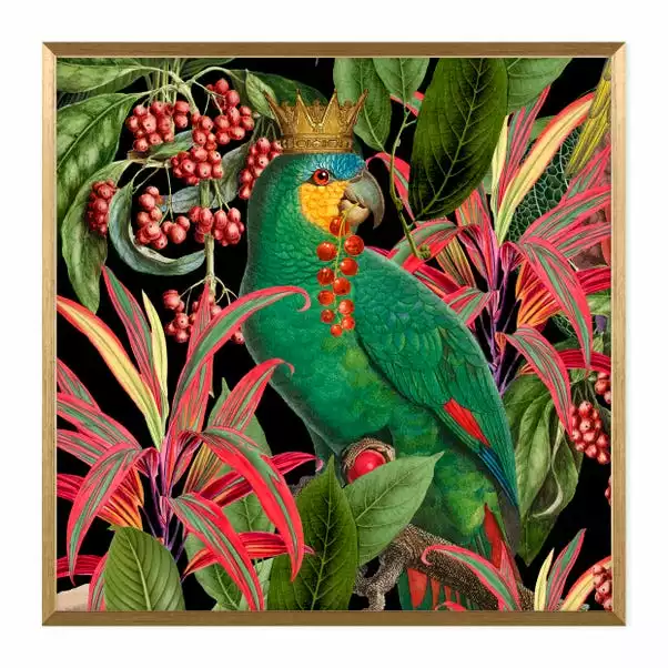 Dunelm Parrot King II Framed Print 4 Dunelm Parrot King II Framed Print - Image 2