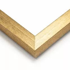 Dunelm Parrot King II Framed Print 7 Dunelm Parrot King II Framed Print -Cheap clocks Store 30808372 alt02