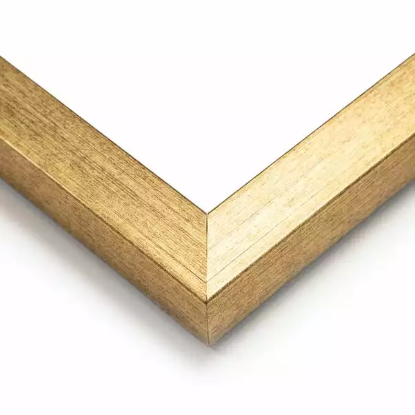 Dunelm Parrot King II Framed Print 5 Dunelm Parrot King II Framed Print - Image 3