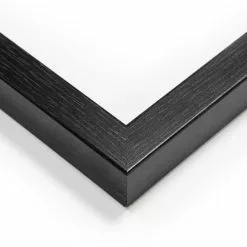 Dunelm Racing Bug Framed Print -Cheap clocks Store 30808392 alt02