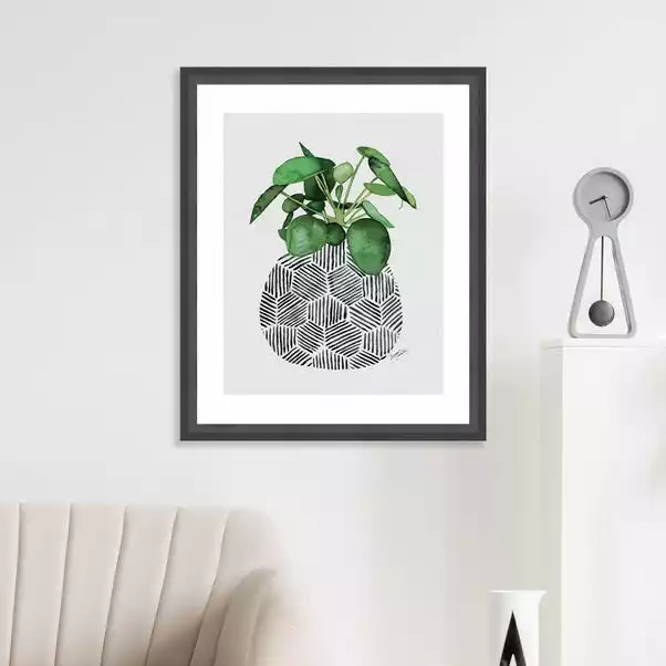 The Art Group Chinese Money Plant Framed Print 3 The Art Group Chinese Money Plant Framed Print