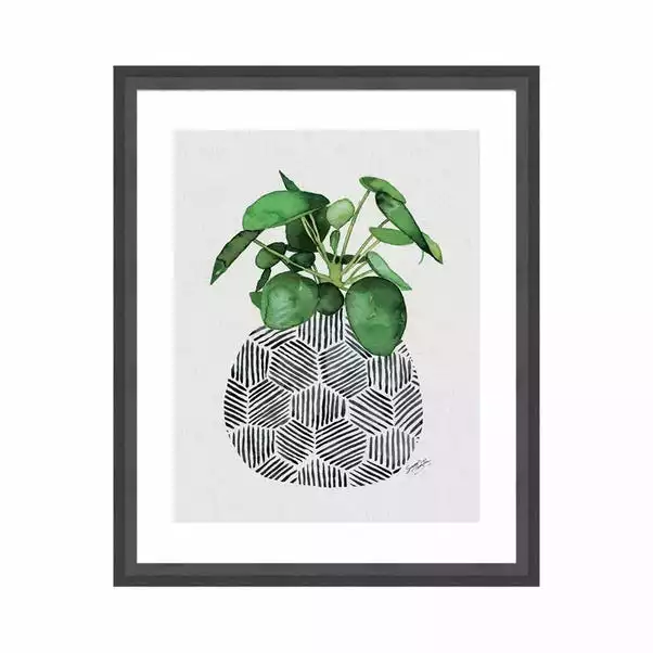 The Art Group Chinese Money Plant Framed Print 4 The Art Group Chinese Money Plant Framed Print - Image 2