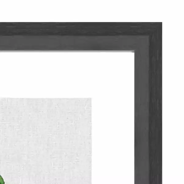 The Art Group Chinese Money Plant Framed Print 5 The Art Group Chinese Money Plant Framed Print - Image 3