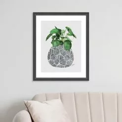 The Art Group Chinese Money Plant Framed Print 9 The Art Group Chinese Money Plant Framed Print -Cheap clocks Store 30808947 alt03
