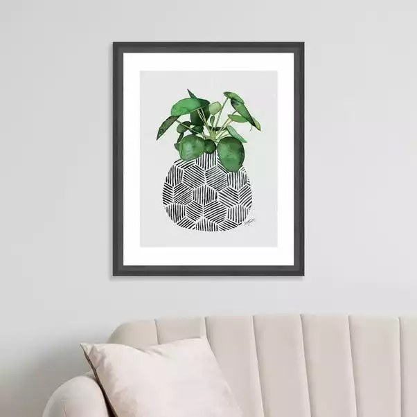 The Art Group Chinese Money Plant Framed Print 6 The Art Group Chinese Money Plant Framed Print - Image 4