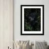 The Art Group Panther Framed Print -Cheap clocks Store 30808971