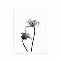 East End Prints Iris Print -Cheap clocks Store 30822581 alt01