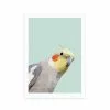 East End Prints Cockatiel Print -Cheap clocks Store 30822781 alt01