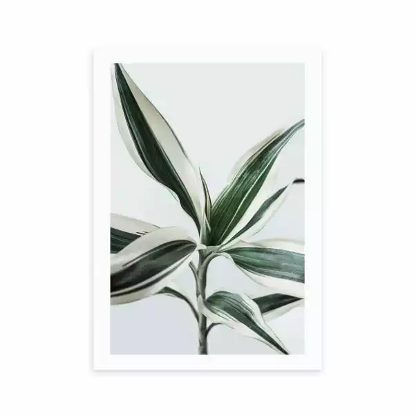 East End Prints Foliage 1 Print 4 East End Prints Foliage 1 Print - Image 2