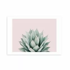 East End Prints Blush Succulent Print -Cheap clocks Store 30841779 alt01