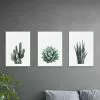 Set Of 3 East End Prints Succulent Gallery Wall Prints 2 Set Of 3 East End Prints Succulent Gallery Wall Prints -Cheap clocks Store 30842128