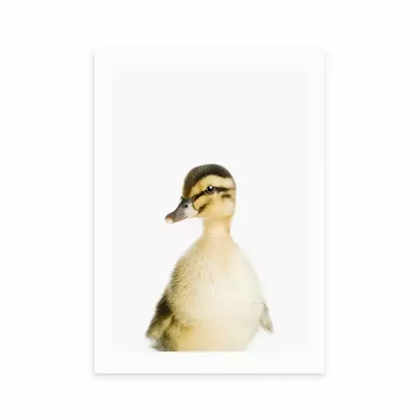 East End Prints Duckling Print 4 East End Prints Duckling Print - Image 2